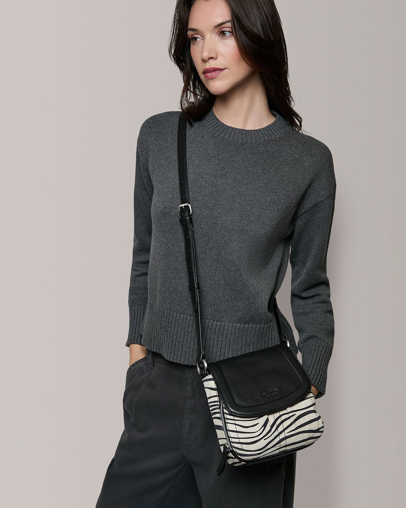 zebra