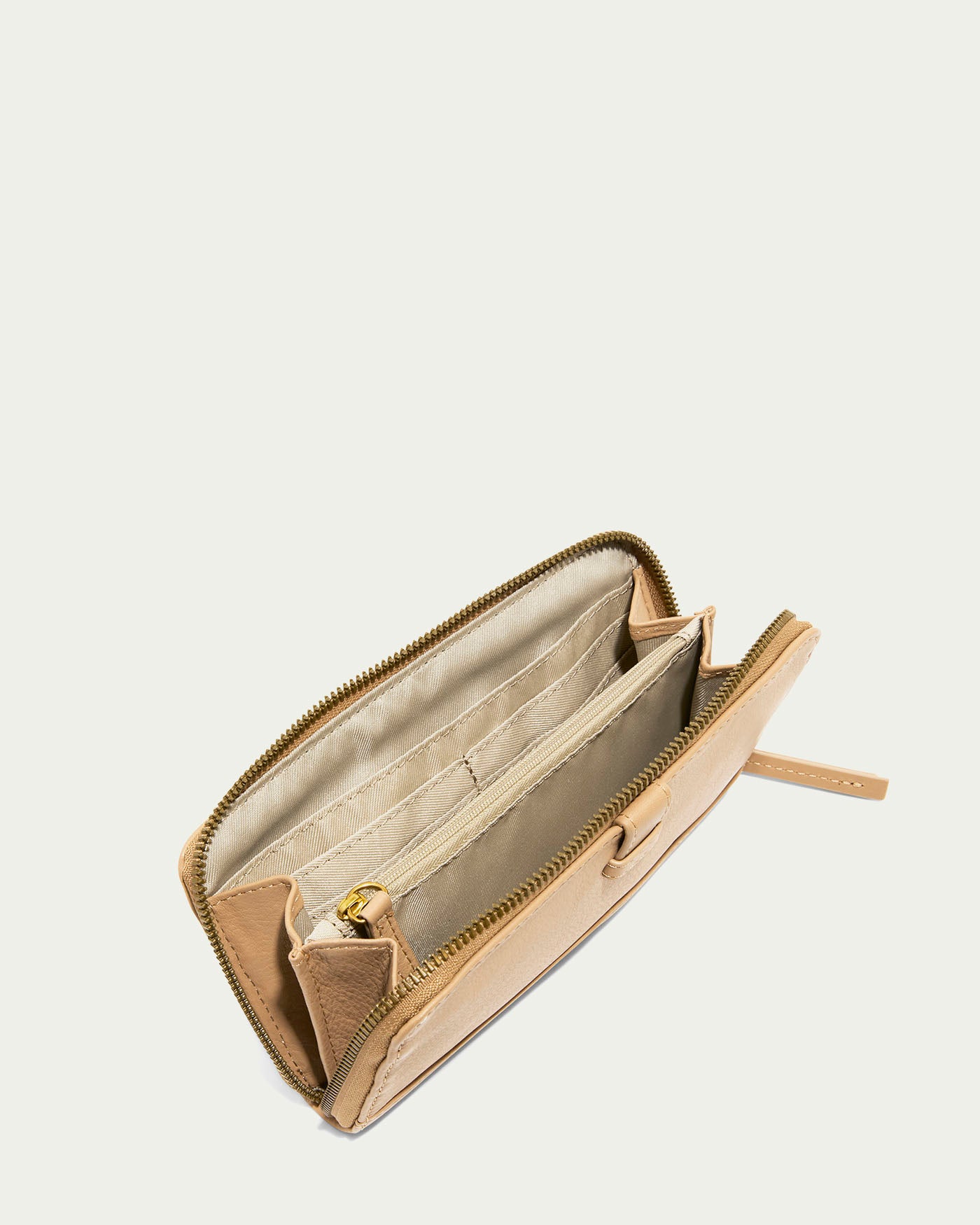 macadamia
