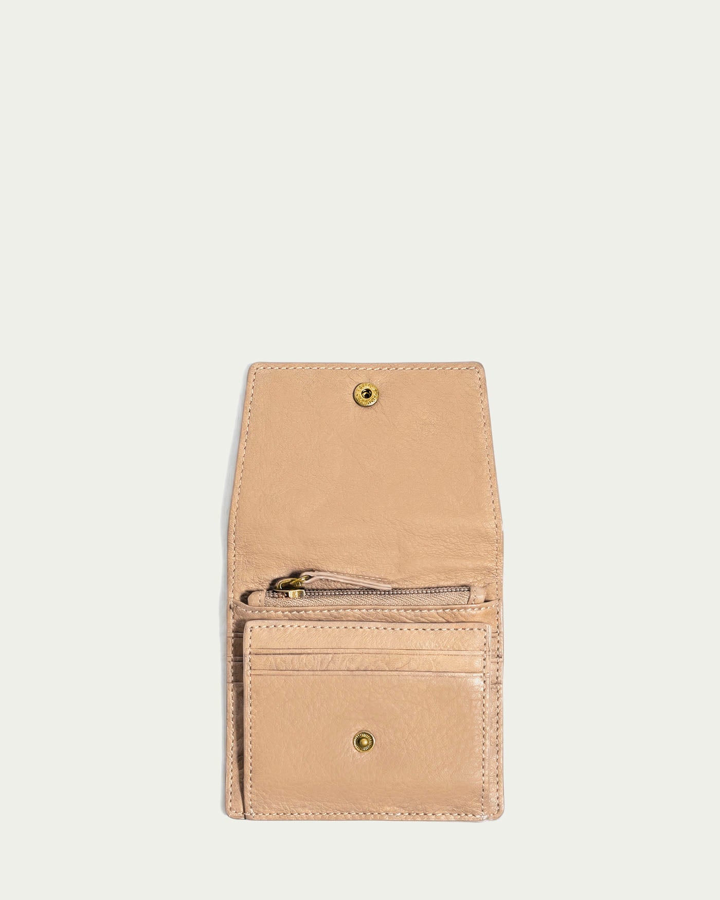 macadamia