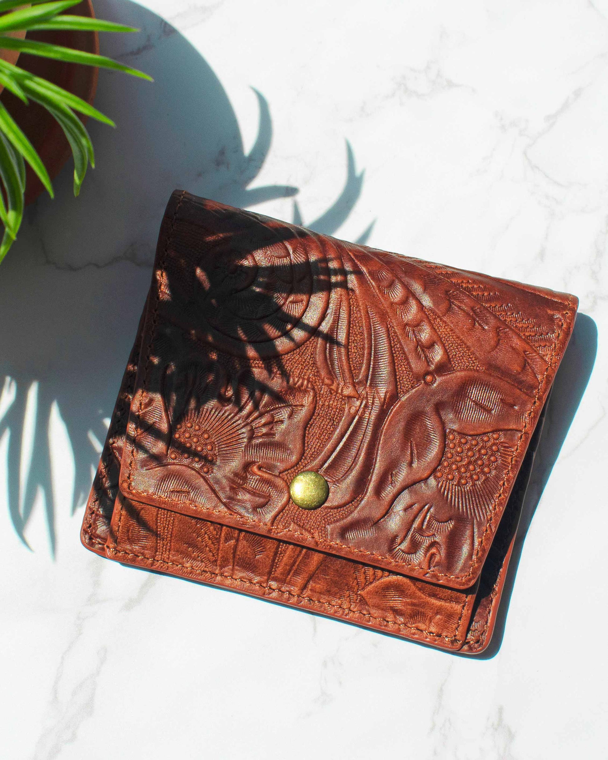 Brandy Tooled